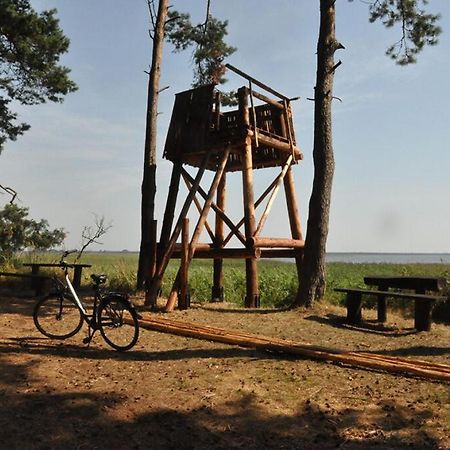 Ferienhaus Harmonia Neuendorf Heide 外观 照片